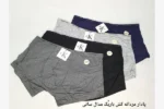 شورت پادار مردانه کش باریک مدال سانی - تصویر 2