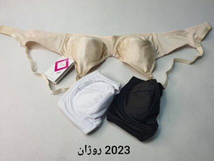 سوتین 2023 روژان