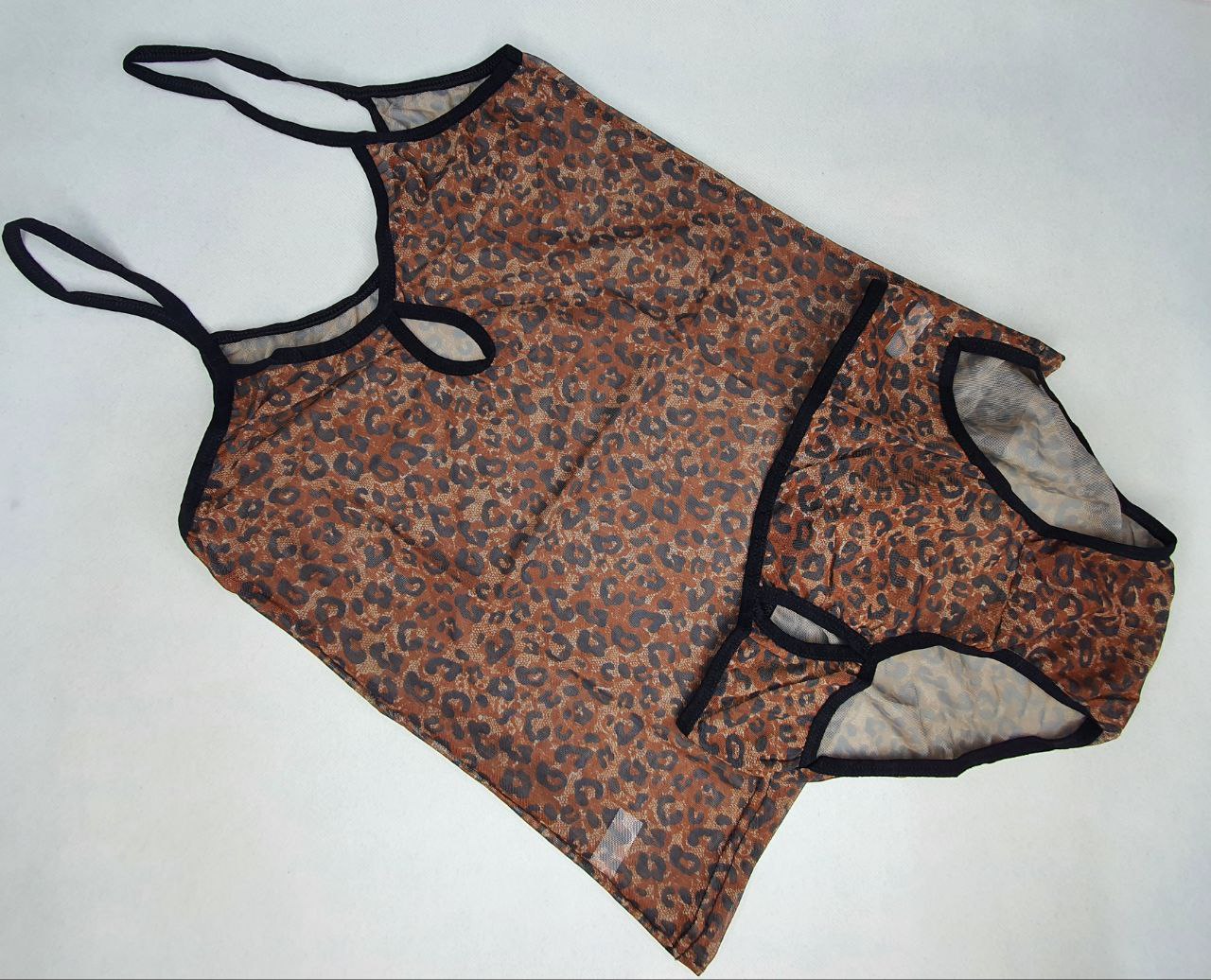 1031 بادی 3500 NBB* - تصویر 1